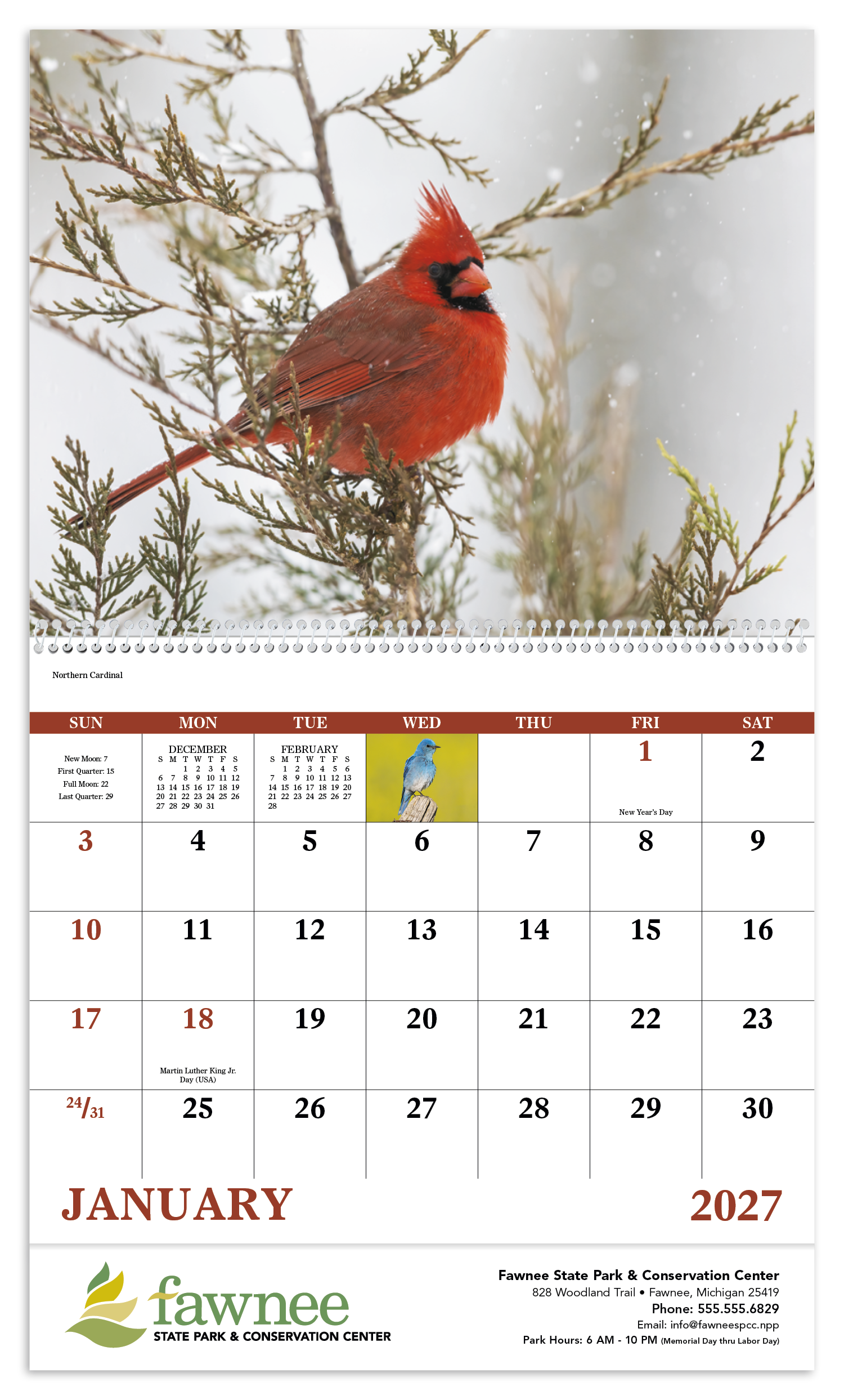 Good Value™ Birds of North America - Spiral Calendar 31