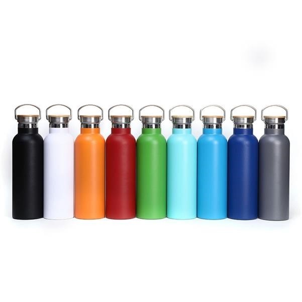 Stainless Steel Vacuum Insulated Bottle 20oz 10