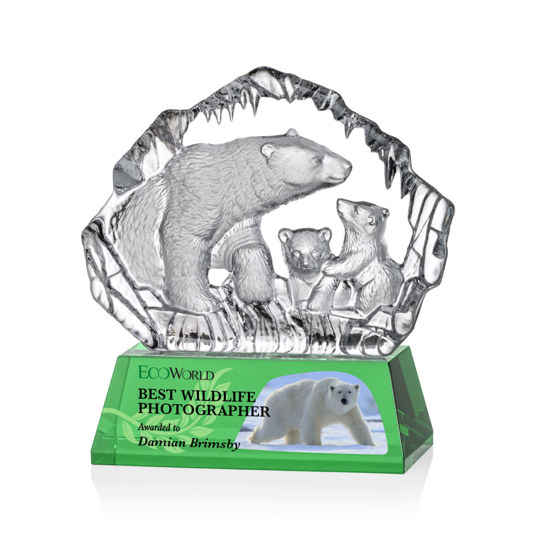 Ottavia Polar Bears VividPrint™ Award 6