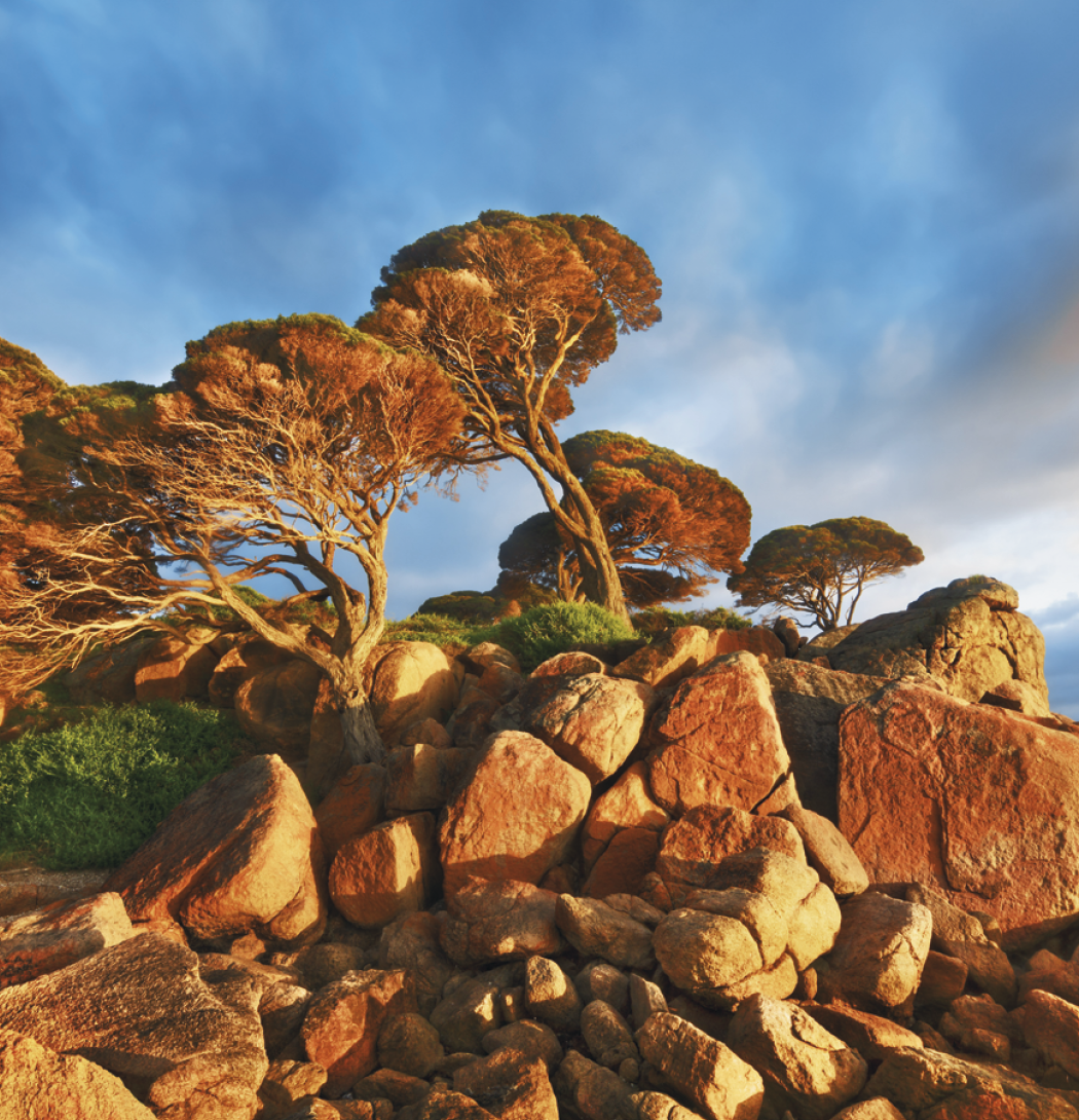 Triumph® Calendars World Scenic Calendar 47