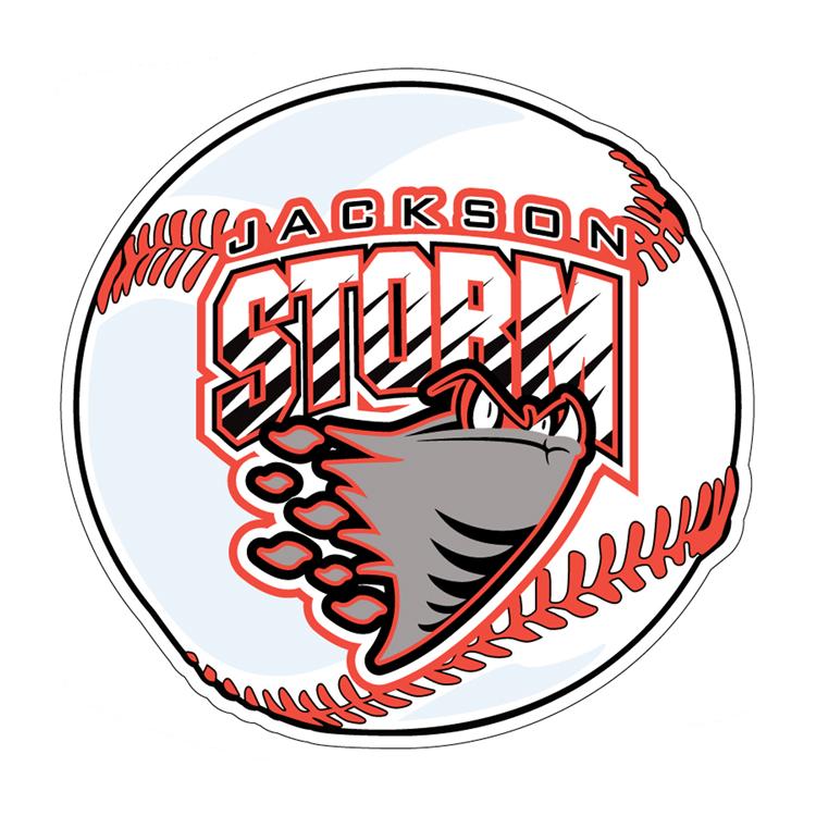Custom 4" Diameter Circle Car Magnet 2