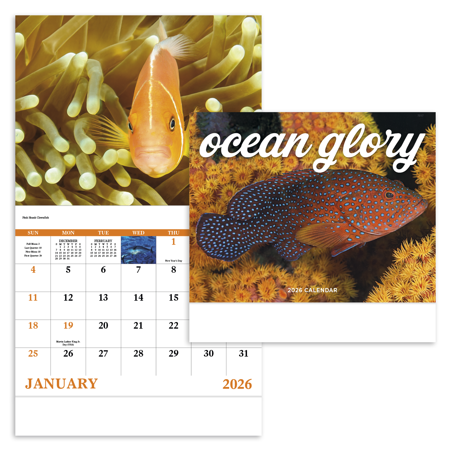 Good Value™ Ocean Glory - Stapled Calendar 13