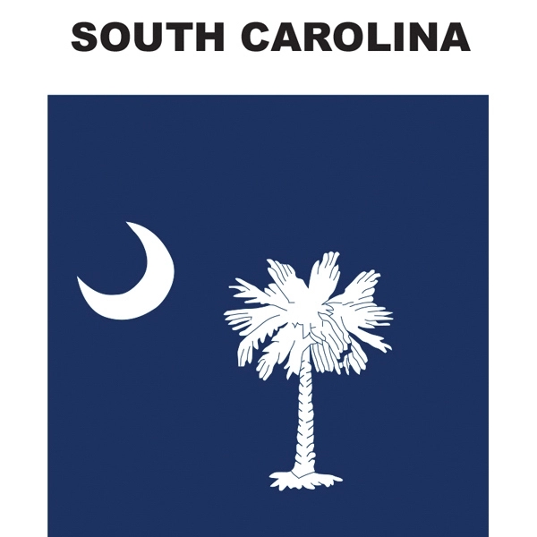 Mini Banner - South Carolina 2