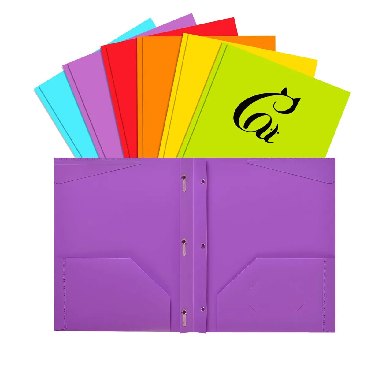 Presentation plastic Folder 3