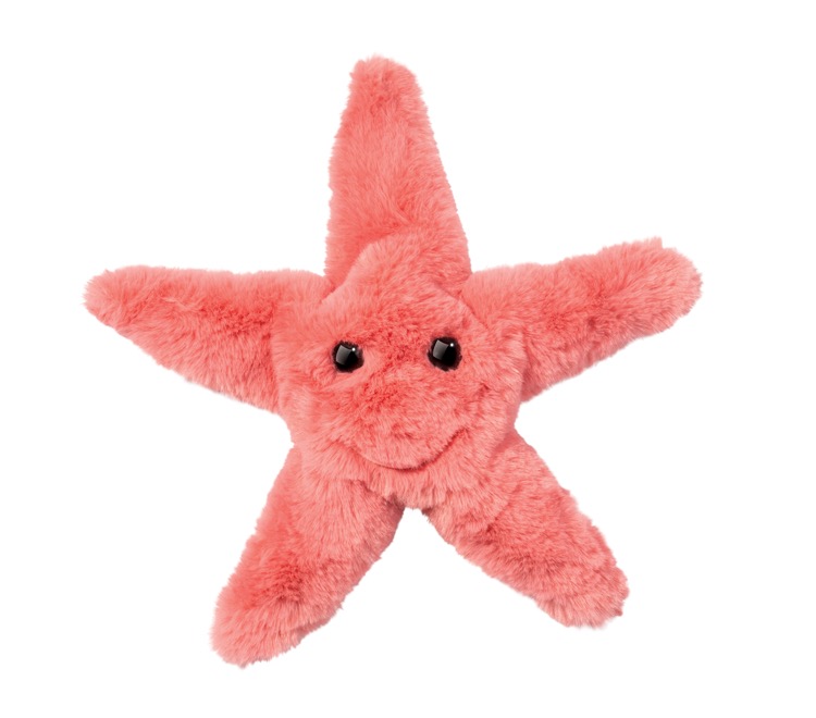 Coral Starfish 1