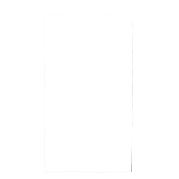 "THE FANDANA™" Full Color Sublimation Import Air Ship Full-Size Multi-Functional Gaiter & Headwear 28