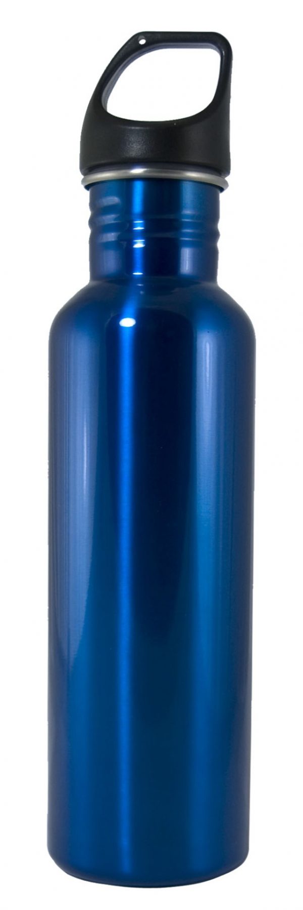 26 oz Blue Stainless Steel Excursion Bottle