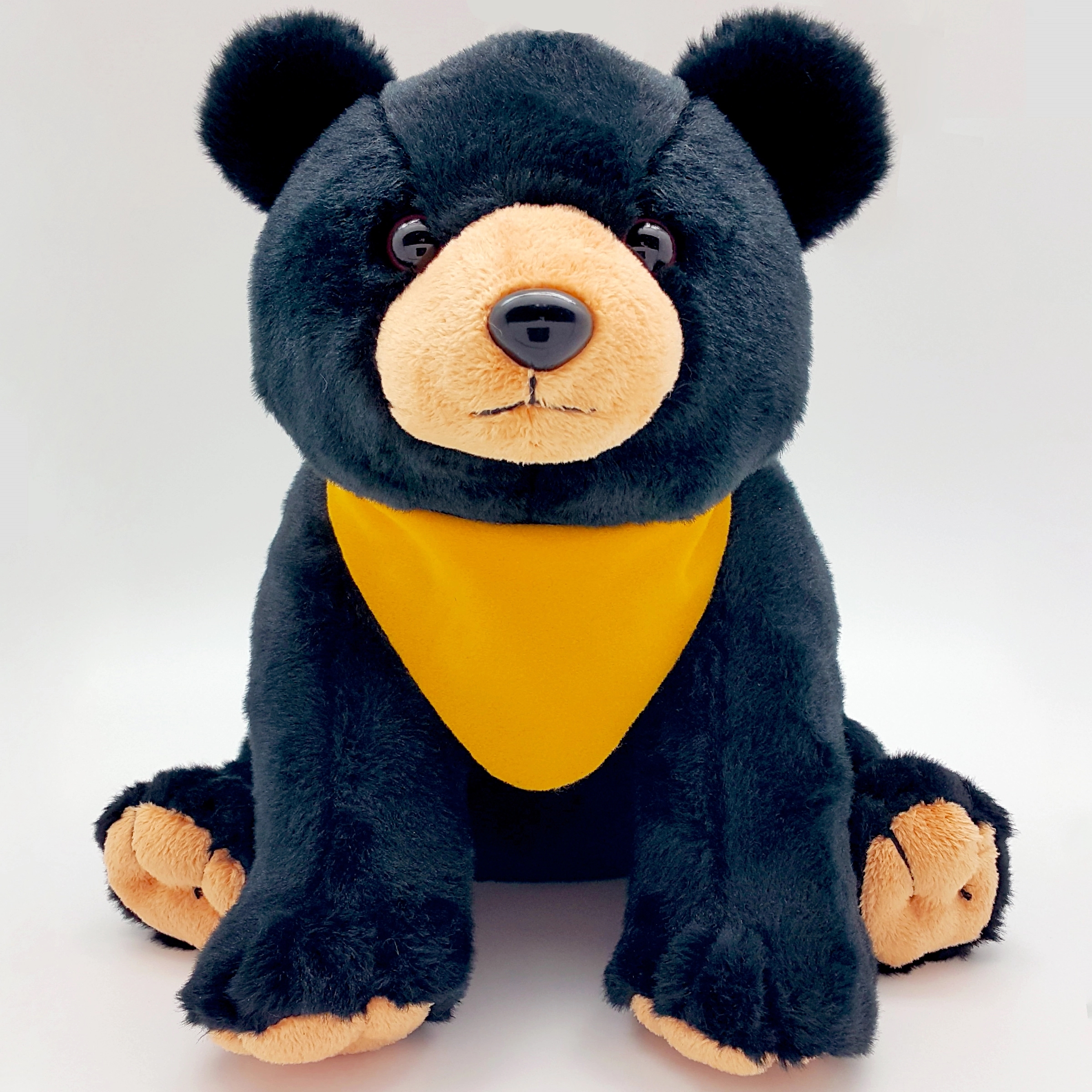 10" Black Bear 13