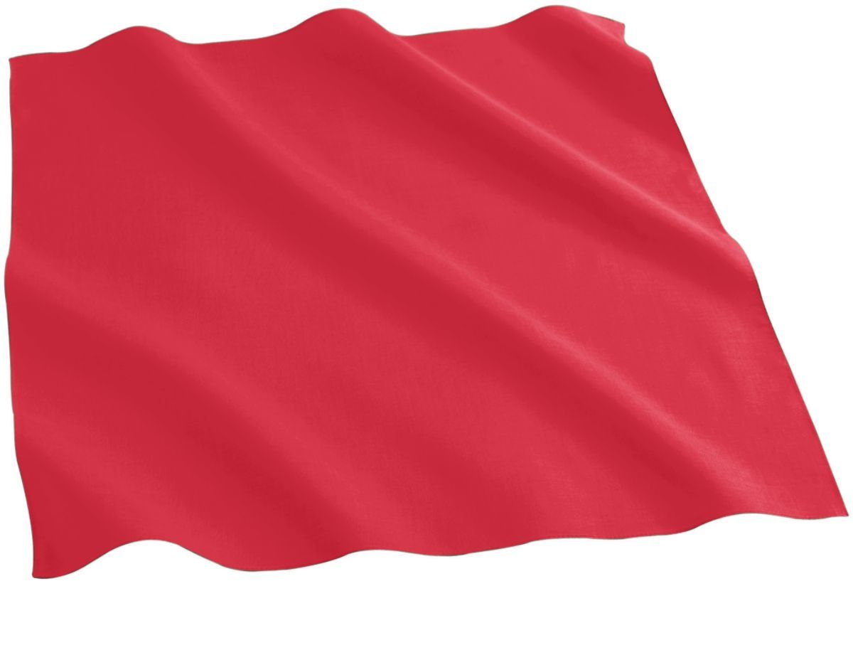 Cotton Bandana 5