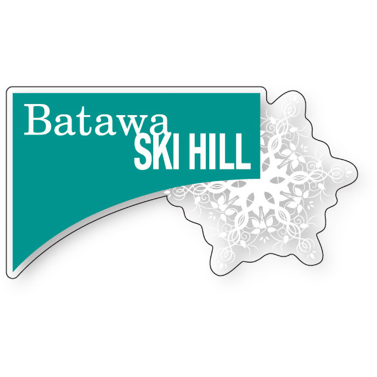 .004 Custom Shape Clear Gloss Vinyl / low tack adh face Decals (51 to 75 sq in) Full Colour