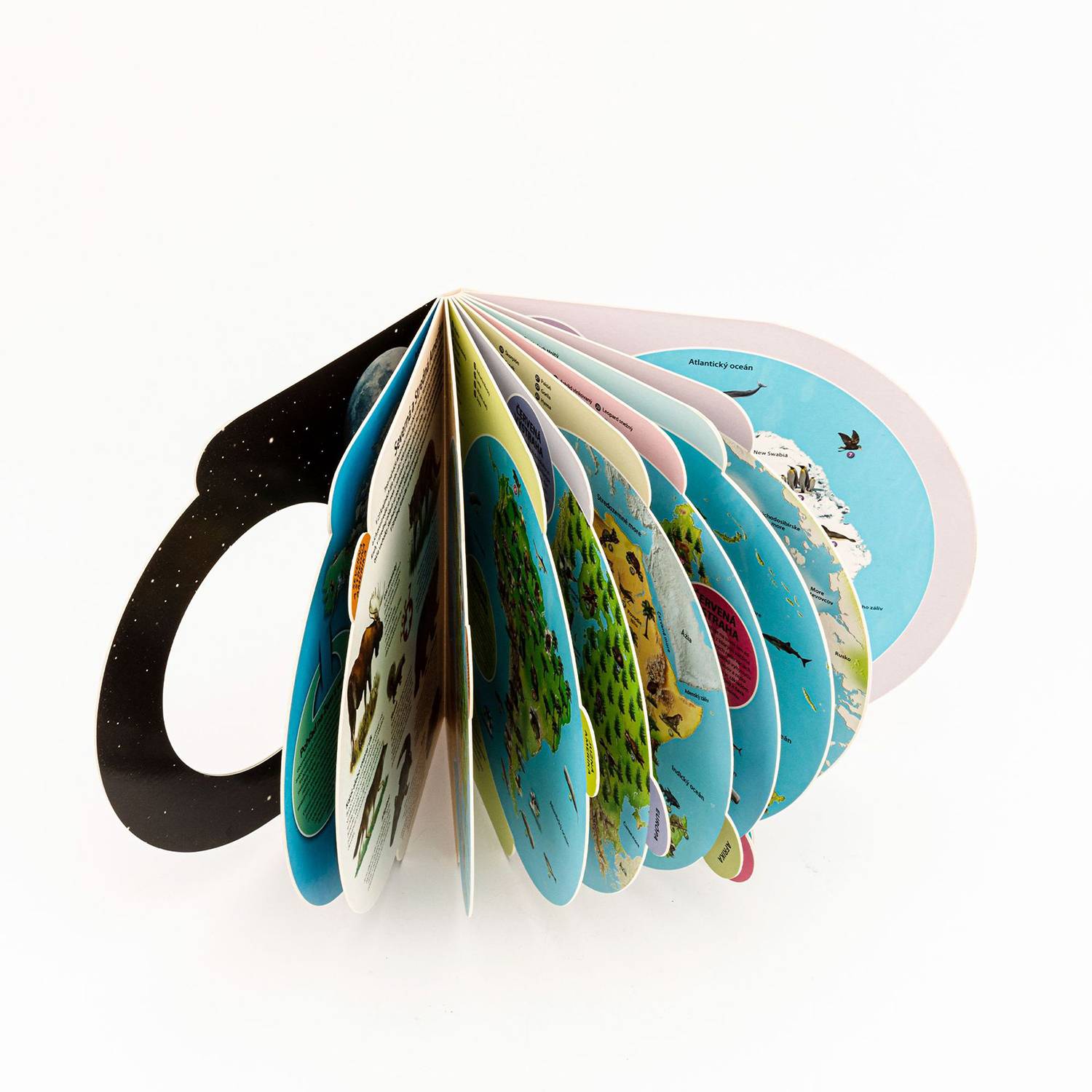 Colorful Die-Cut Indexed Board Book 2