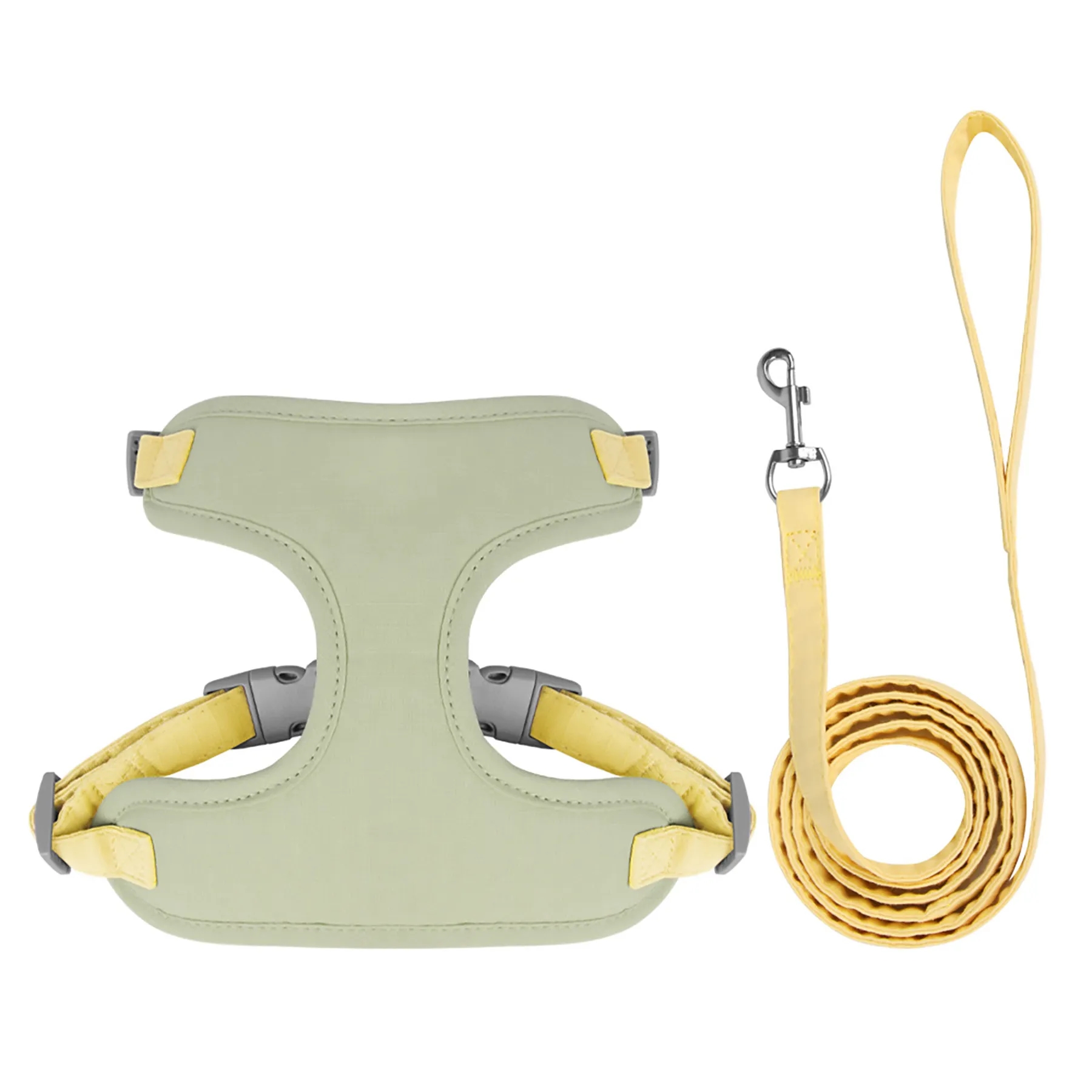 Polyester Pet Leashes When You Go Out 4