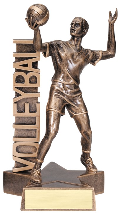 8 1/2" Tall Volleyball Male Billboard Resin Award 1