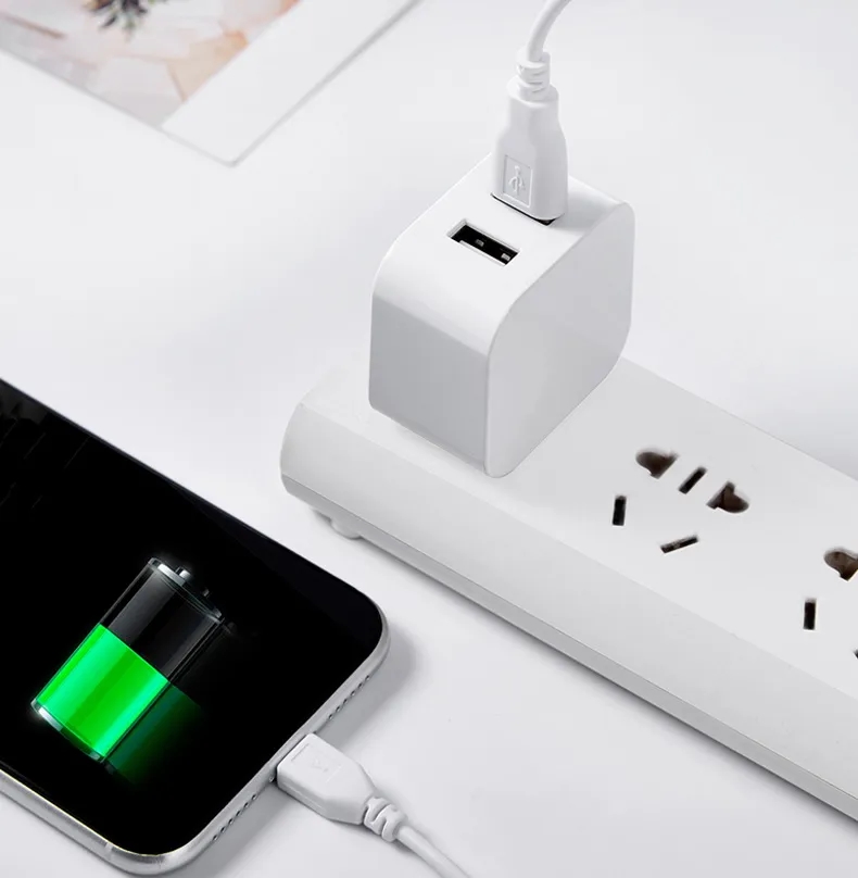 Wall Plug Charger with Dual Port 3