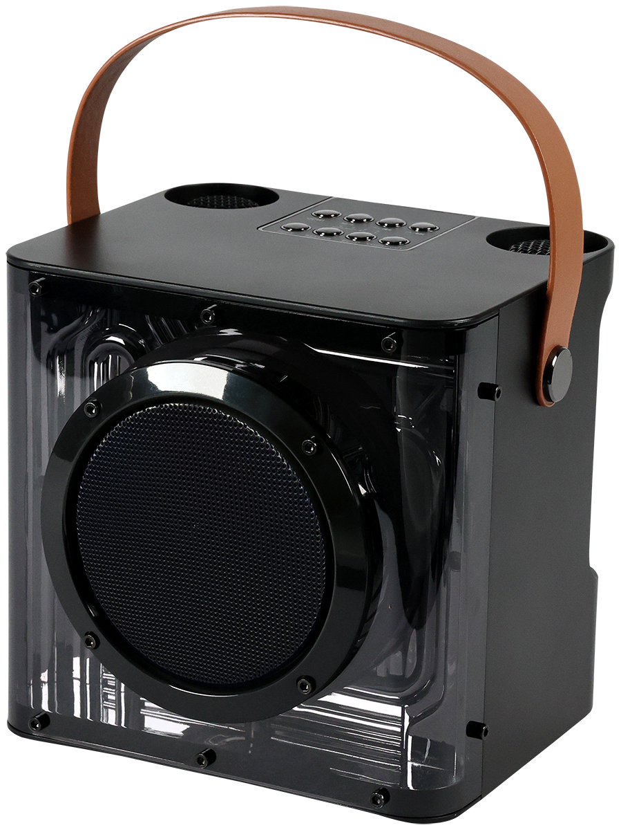 15W Karaoke Wireless Speaker with 2 Mics 13