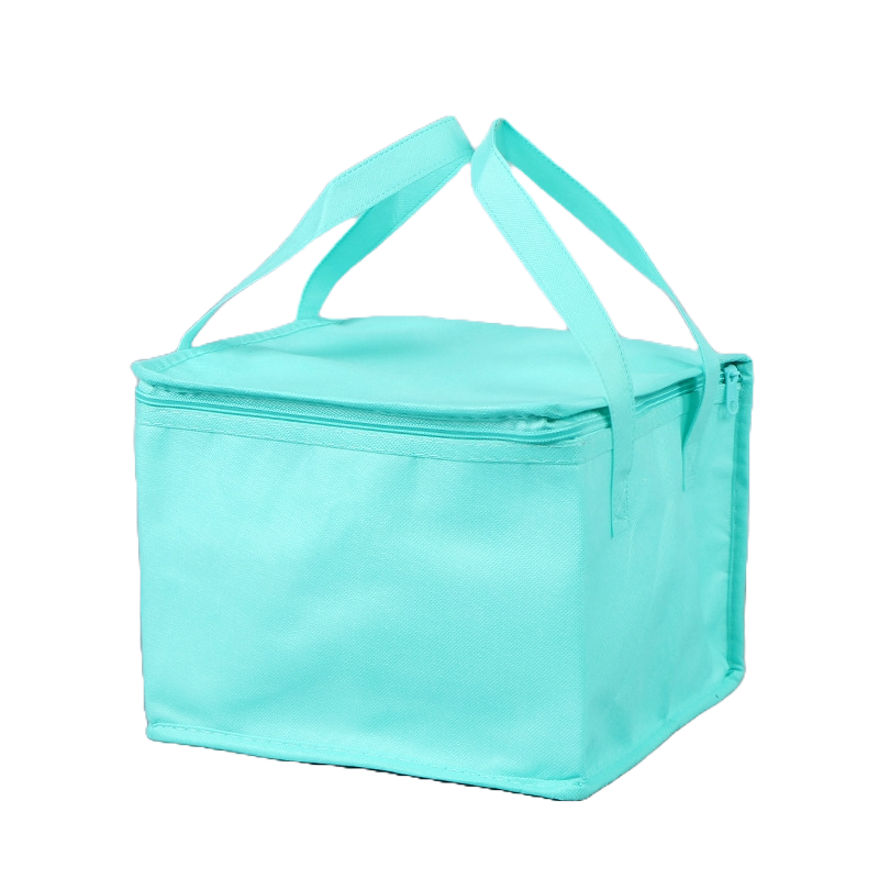 Non-Woven Insulation Cooler Bag 4