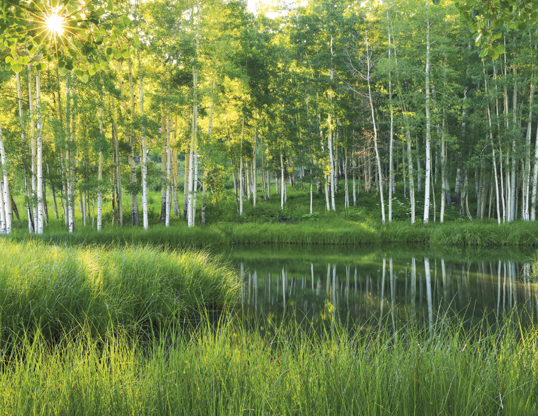 Triumph® Calendars Scenic Inspirations Calendar 36