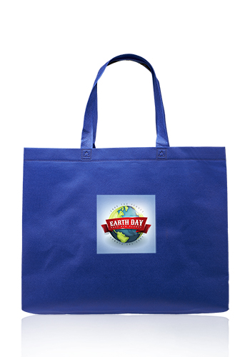 Delhi Jumbo Sized Tote Bags 7