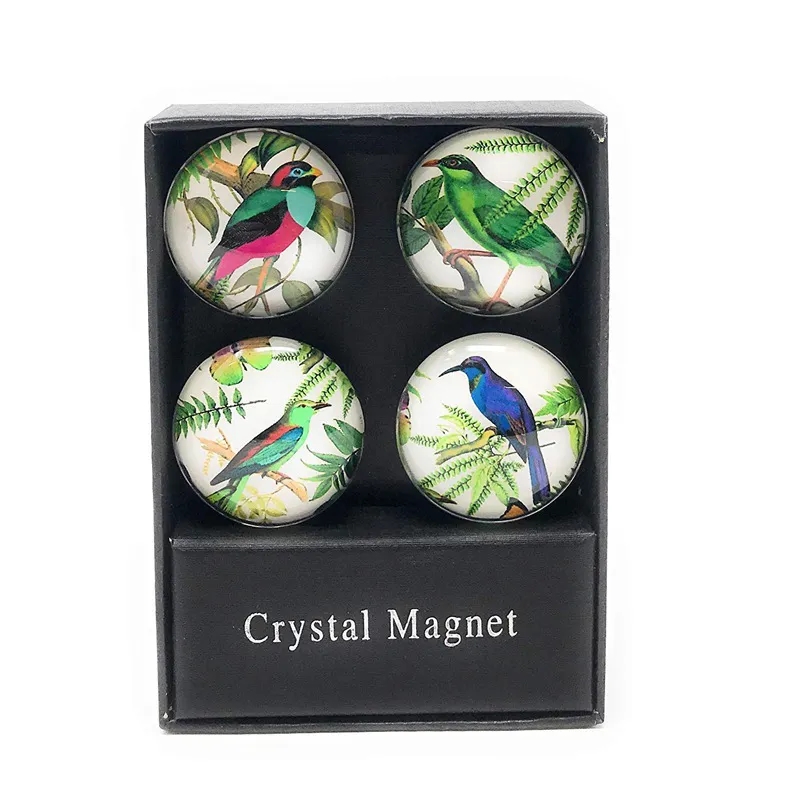 Glass Fridge Magnet Set (Set of 4) 7