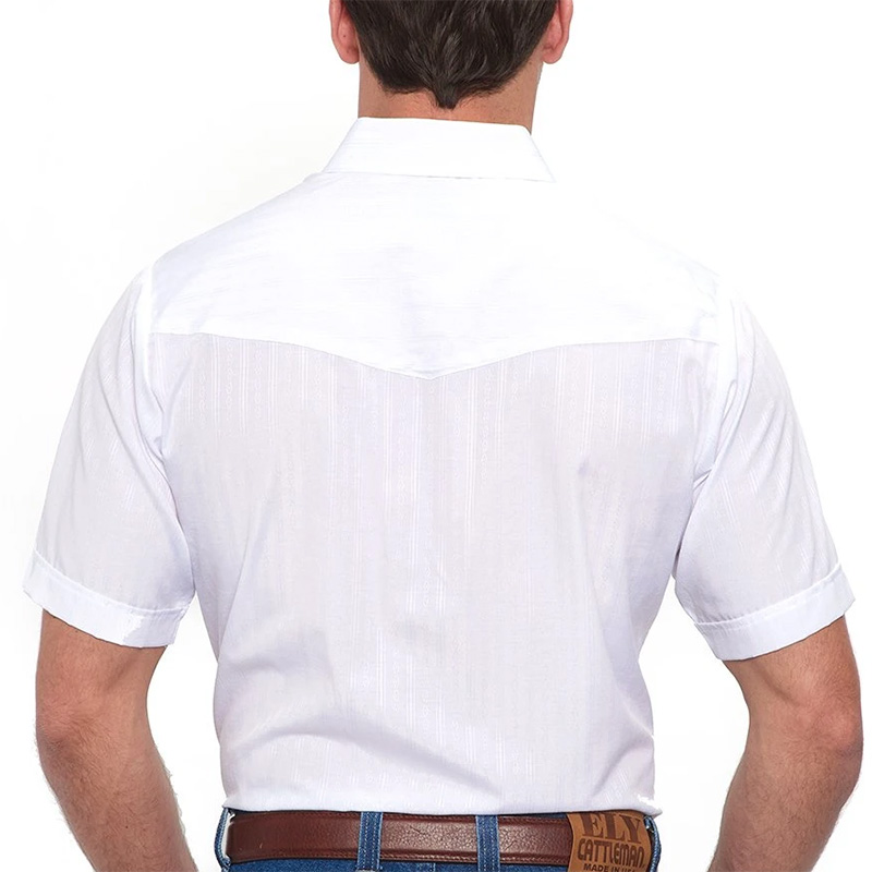 Short Sleeve Tone-on-Tone Western Shirt 2