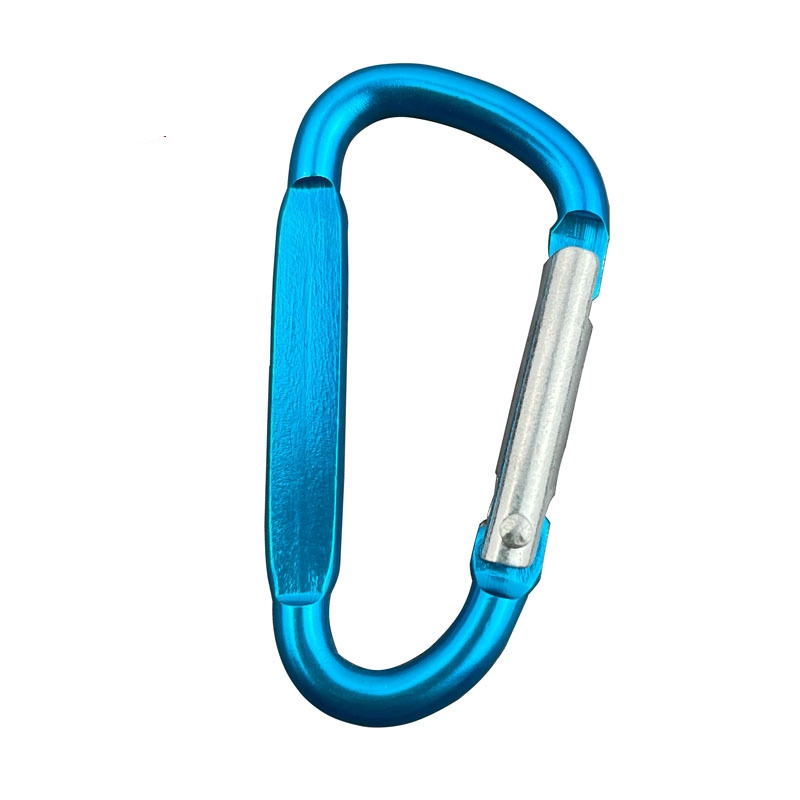 Carabiner Keychain 2