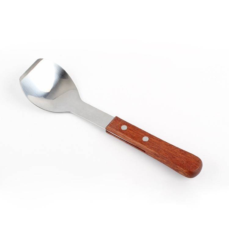 Ice Cream Spoon 1