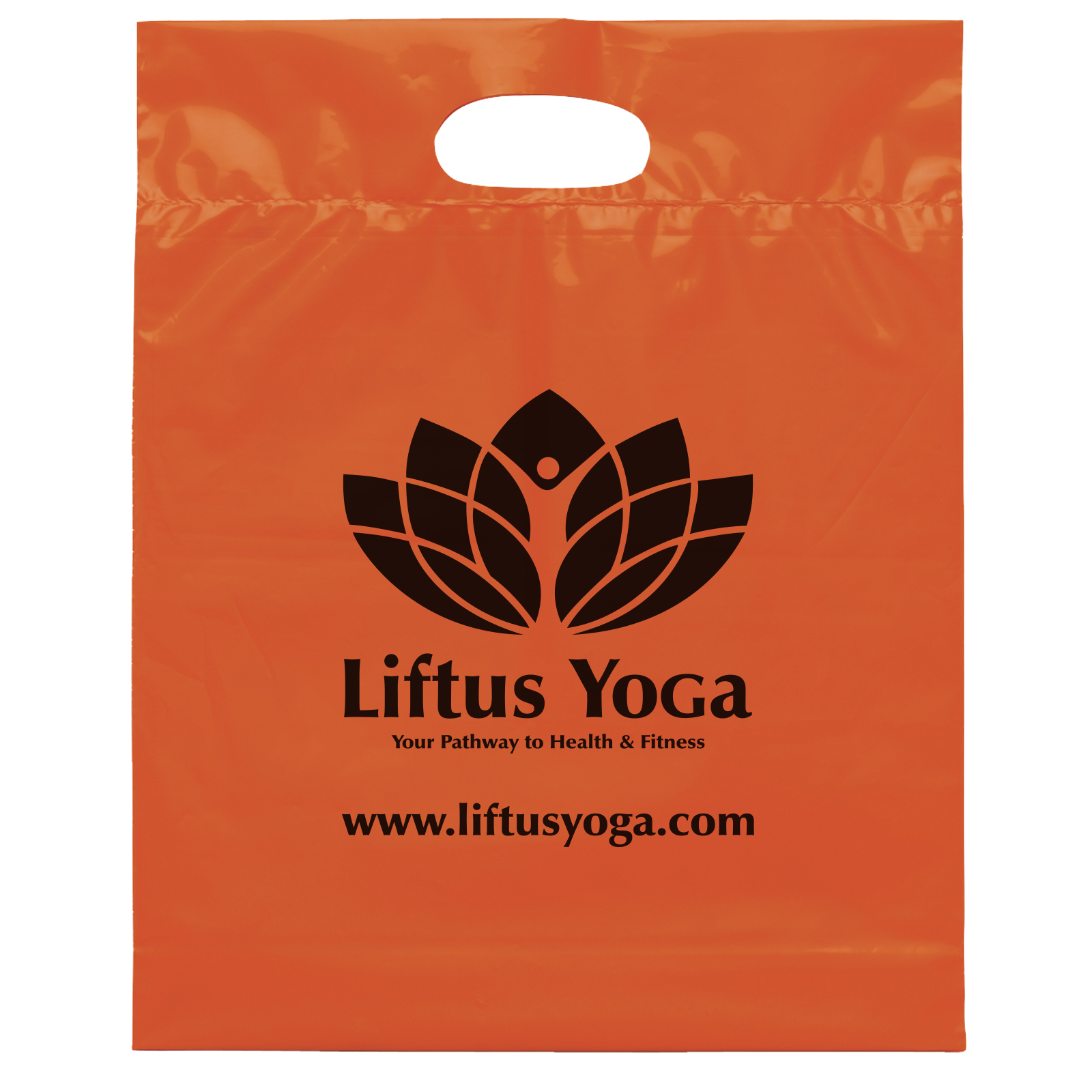 Die Cut Handle Bag - 12W x 15H x 3 - Flexo Ink Print 20
