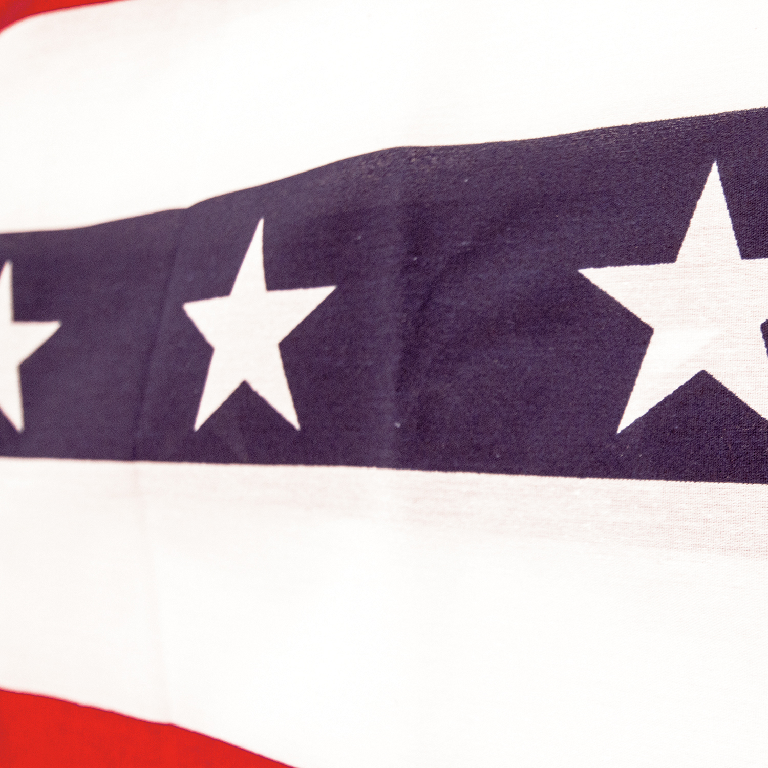 Stars & Stripes Bunting 5