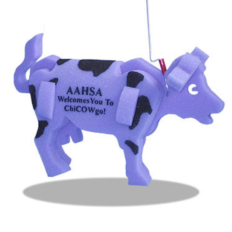 Cow on a leash 8