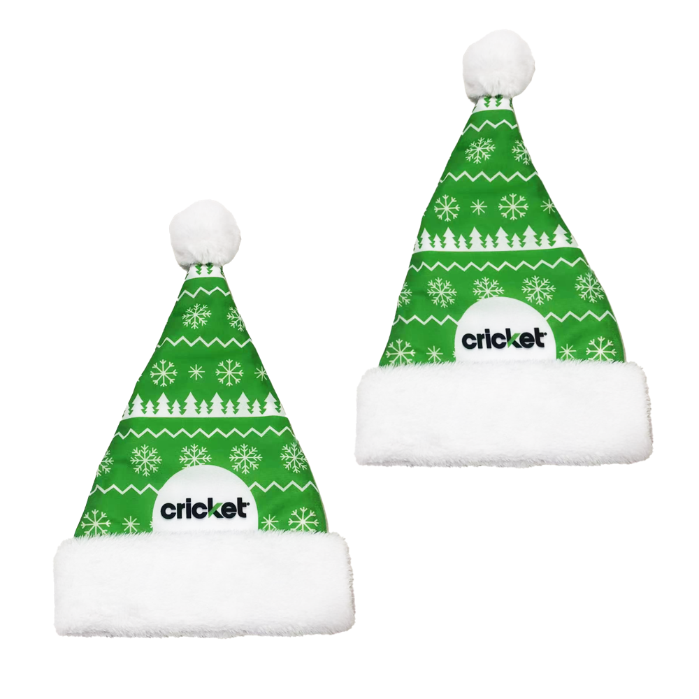 Santa Beanie 3