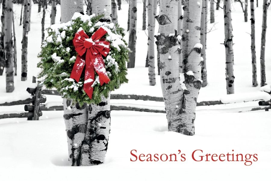 Birch Grove Holiday Postcards 1