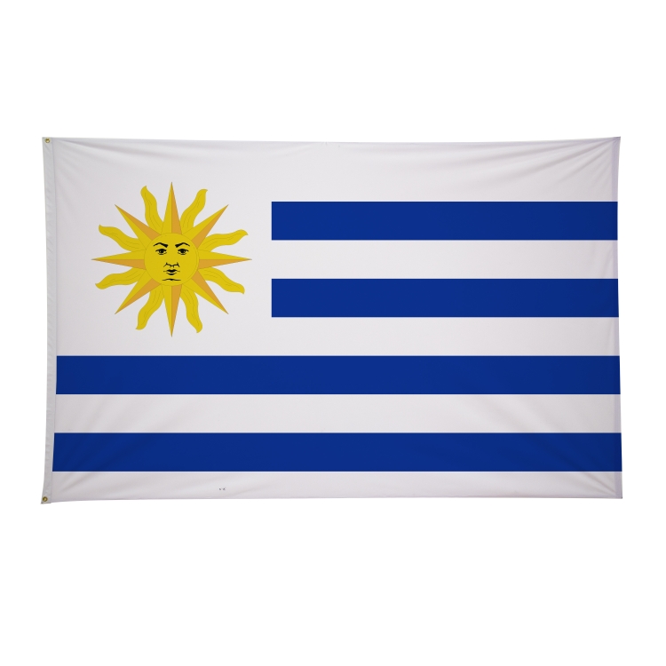 5' x 8' International Flags 154