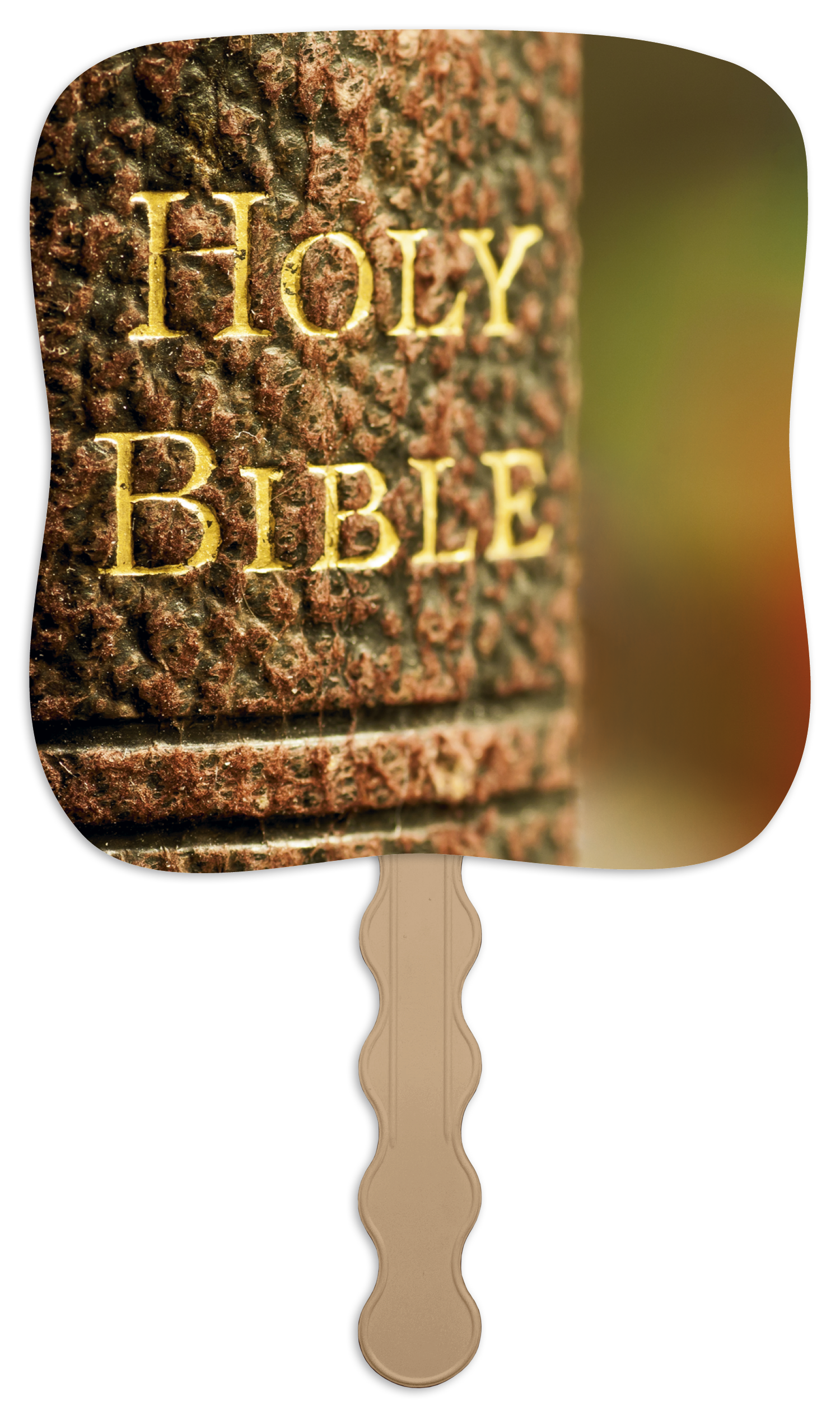 Skinner & Kennedy® Holy Bible - Pictorial Fan 15