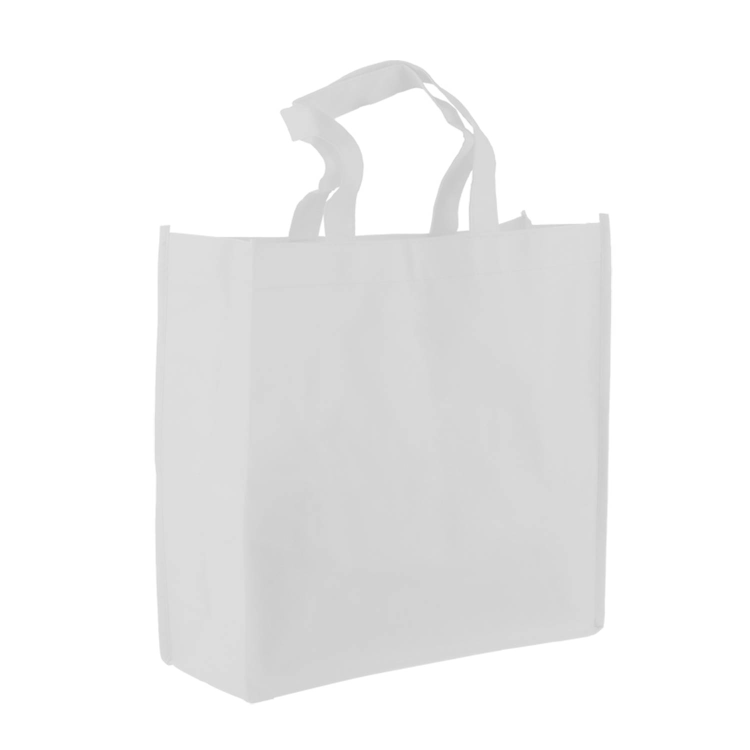 The Companion - 13" Non-woven Tote 1