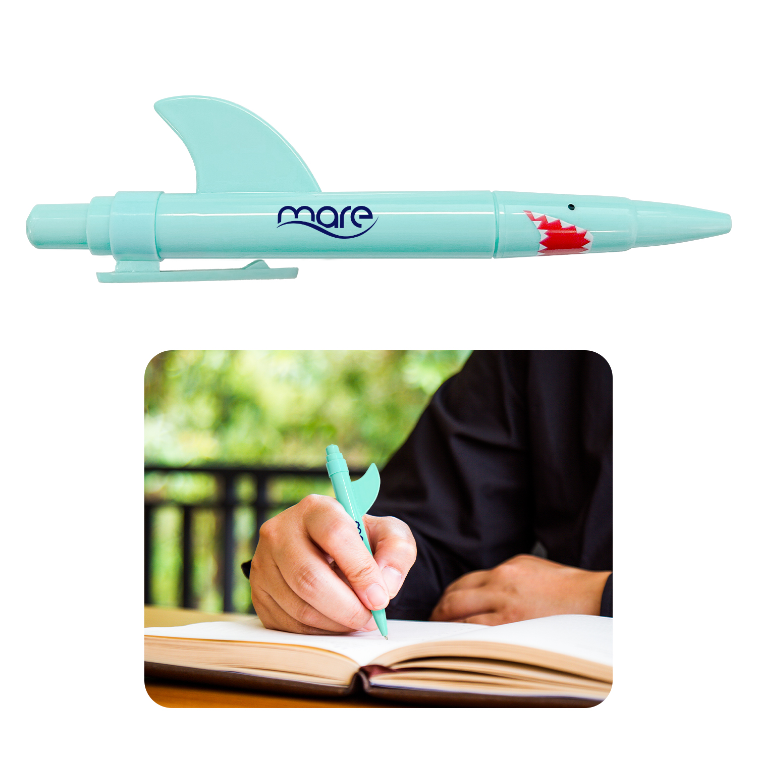 Shark Pen 1