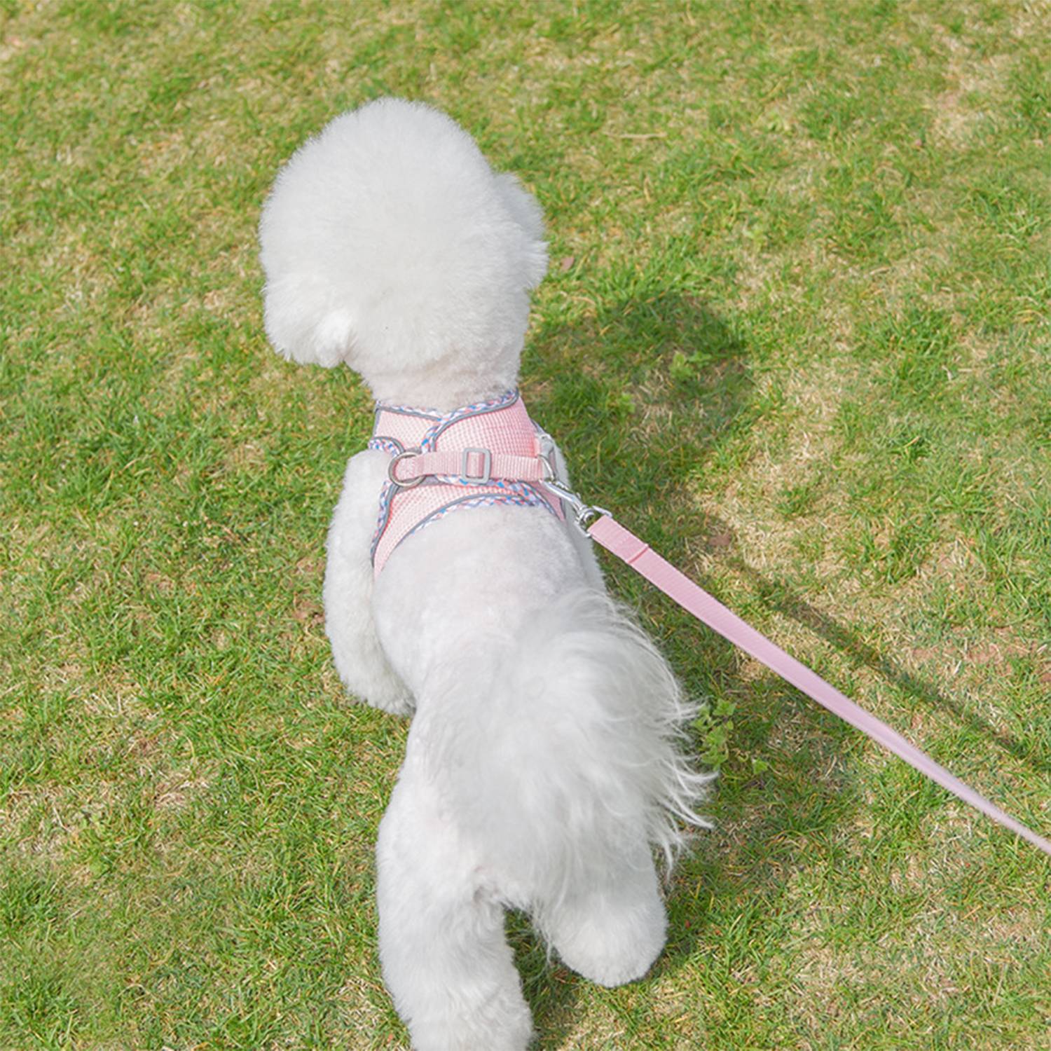 Pet Chest Harness With Reflective Plaid Hemming Dog Leash 7