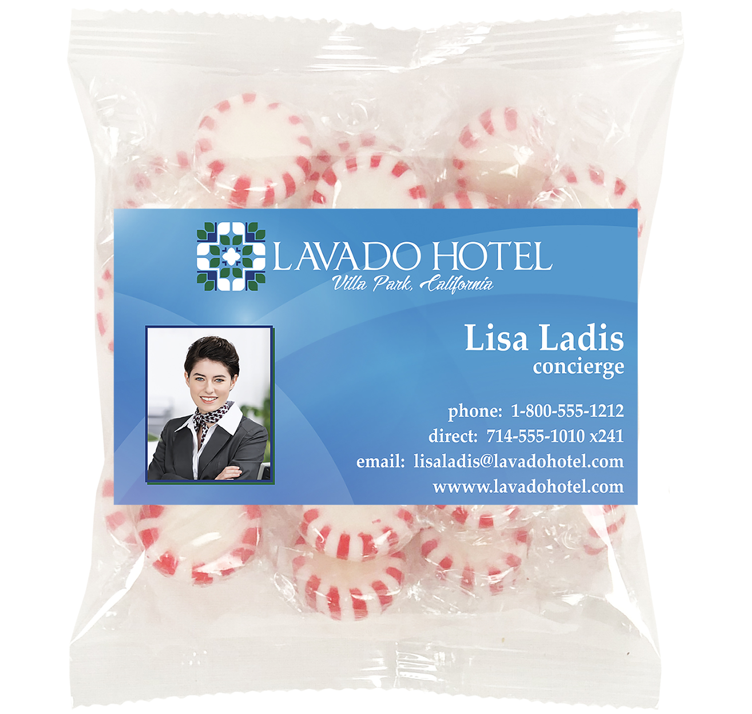 Large Snack Bag with Rectangle Magnet Standard Fill 29