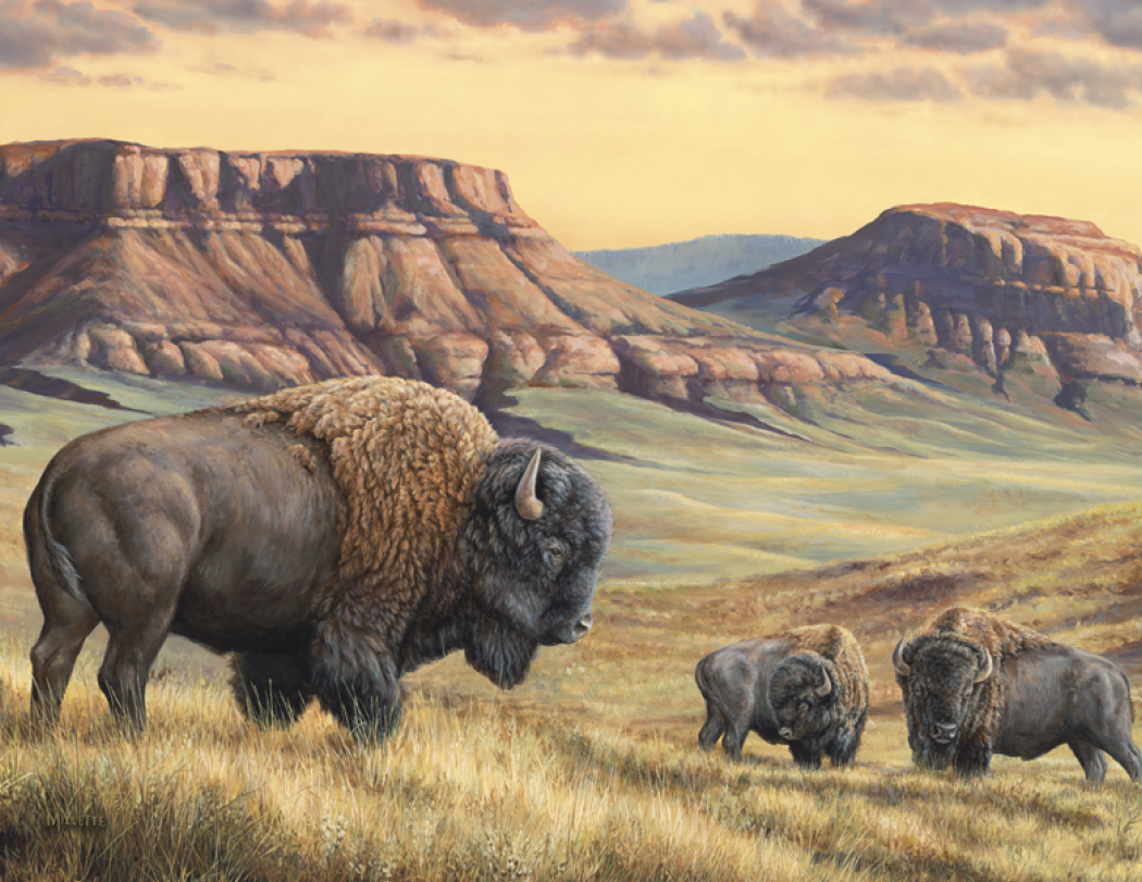 Triumph® Calendars Wildlife Art Calendar 52