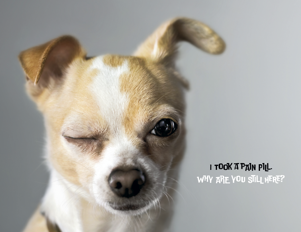 Good Value™ Pets with Attitude - Spiral Calendar 45