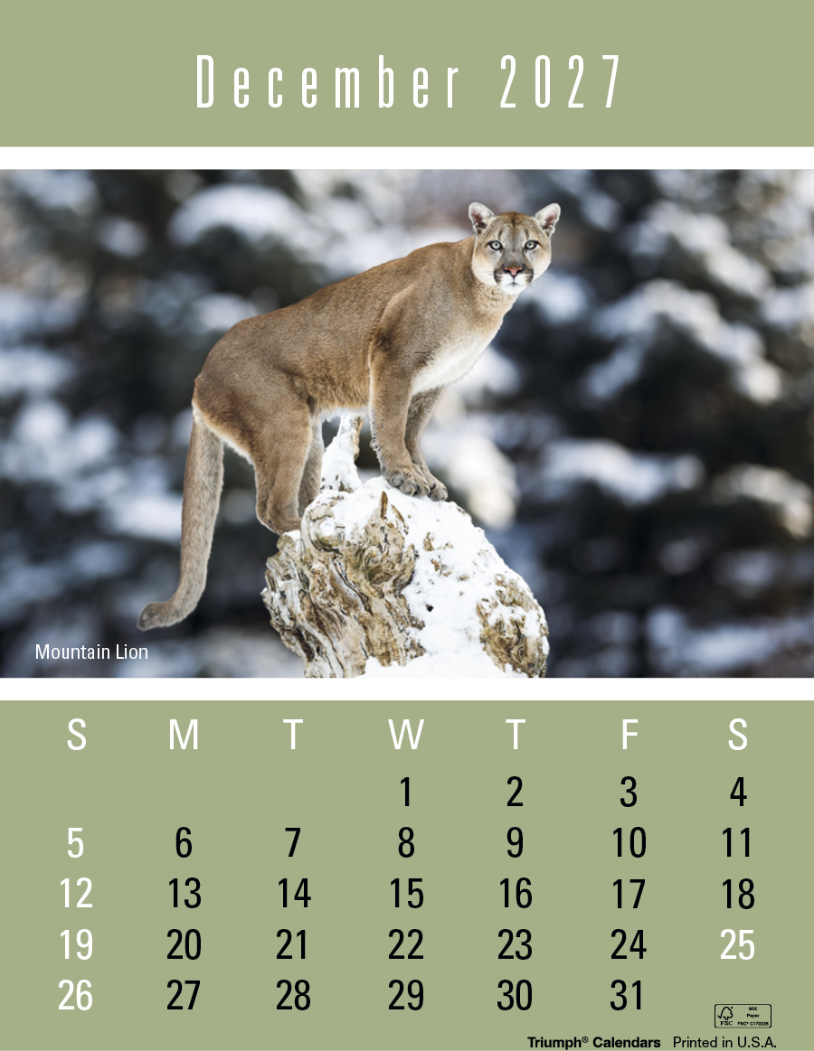 Triumph® Calendars Press-N-Stick Sportsmen Calendar 944