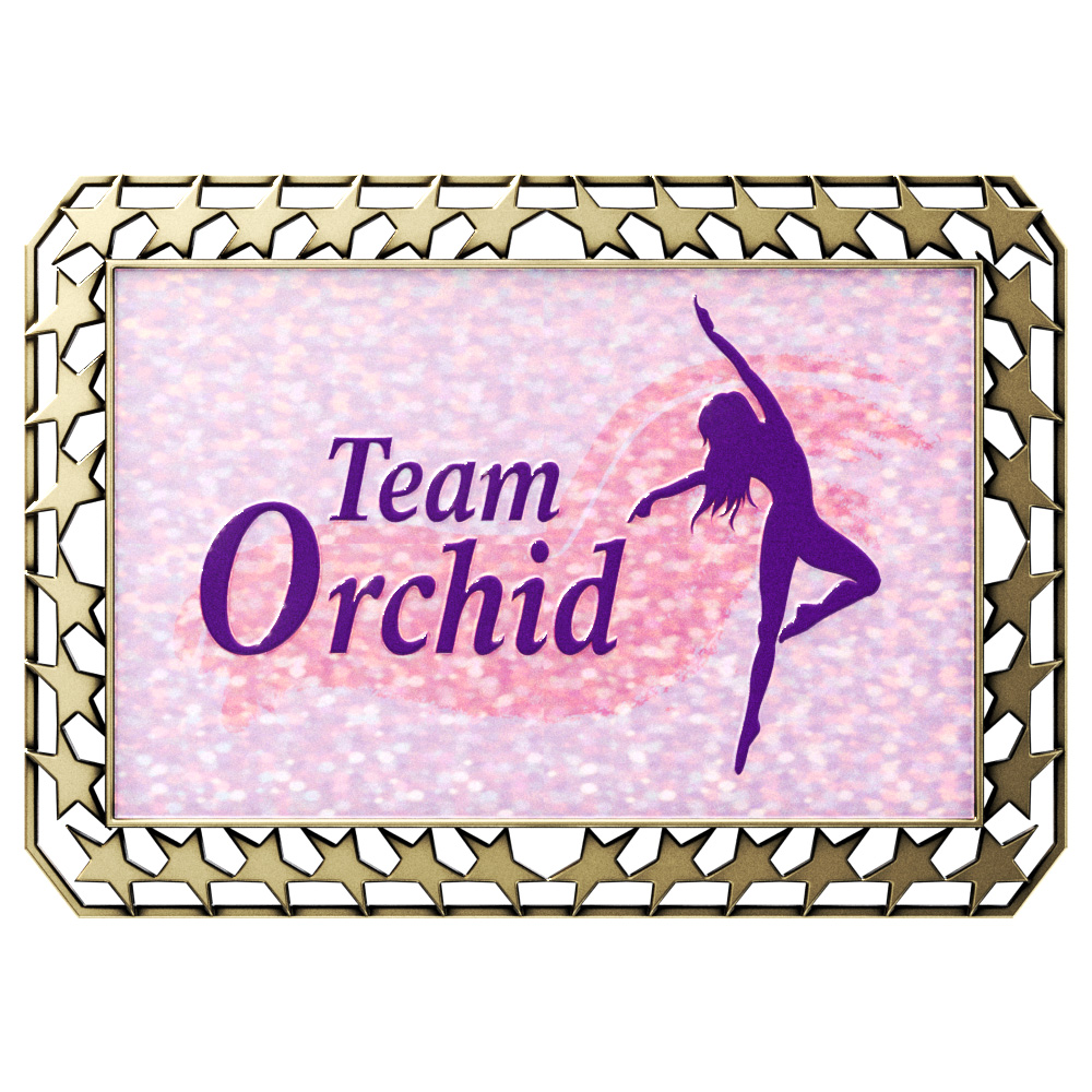 Vibraprint™ Antique Star Border Rectangle Insert Medallion (2-3/4") 2