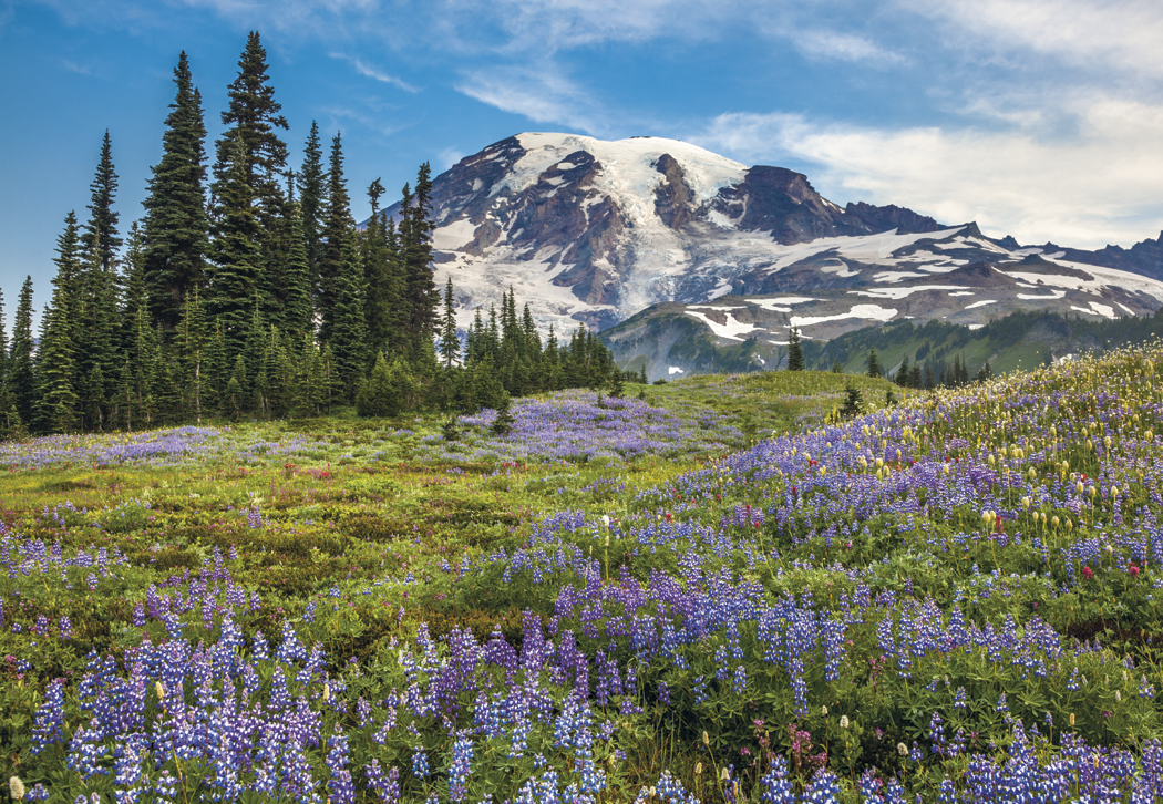 HotLine® Products Our Beautiful America® Executive Calendar 31