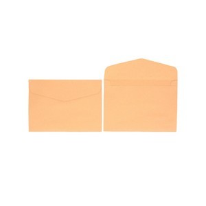 Cowhide Design Envelope 9