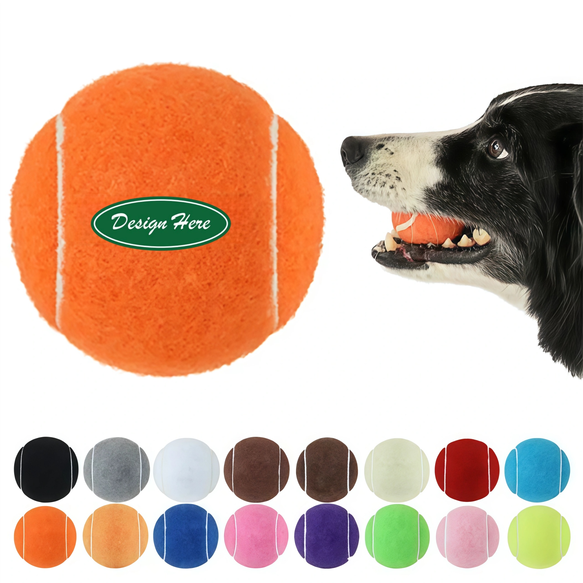 Dog Play Ball 2