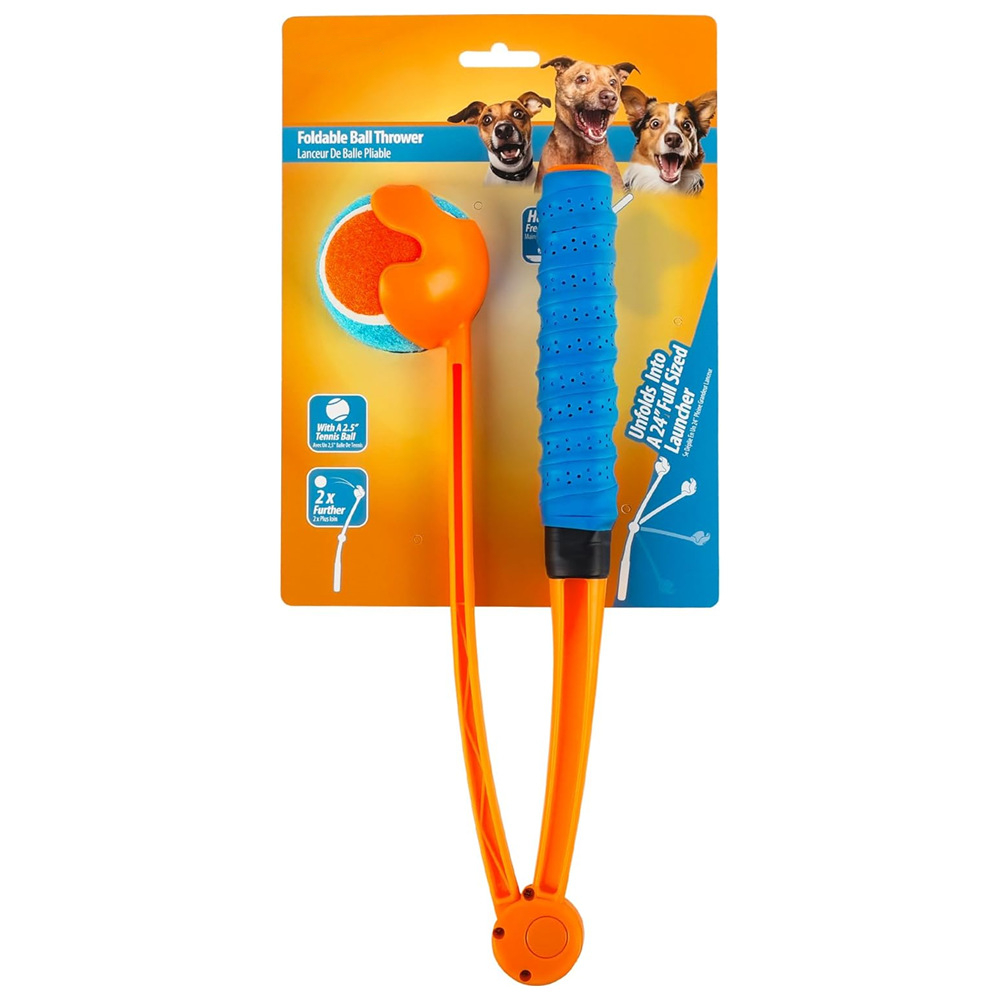 The pet dog throws a golf club 2