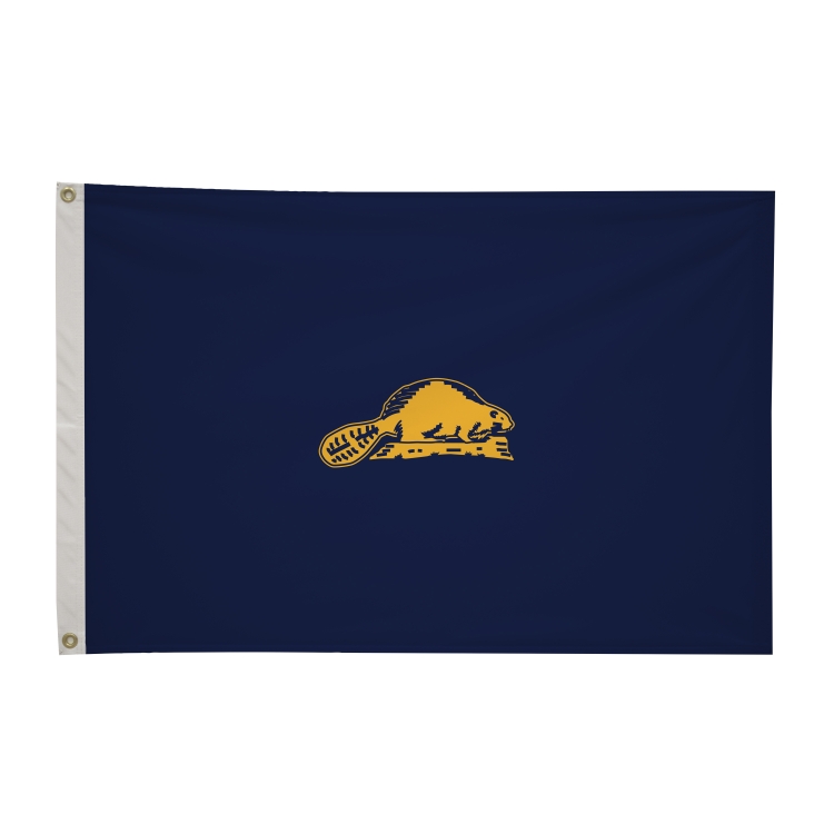 2' x 3' State Flags 17