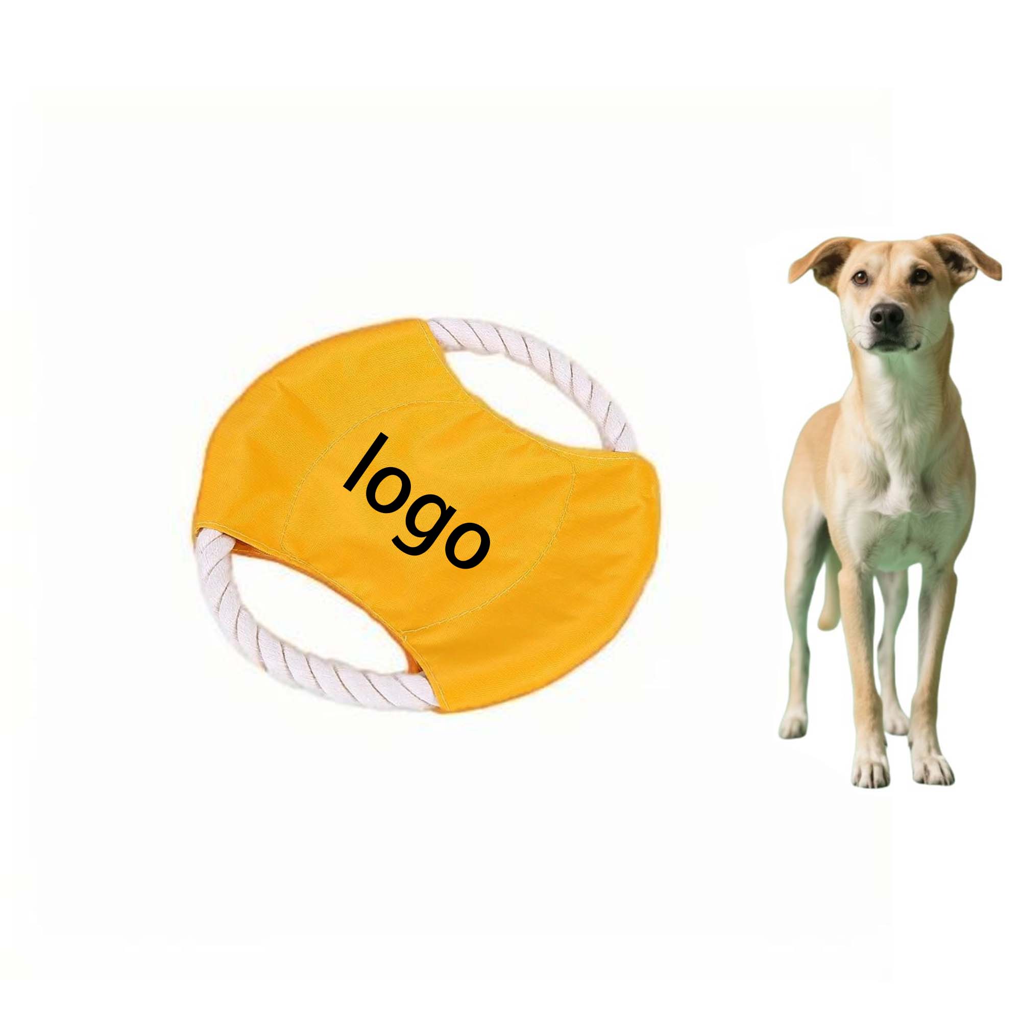Pet Flying Disk Toy 2