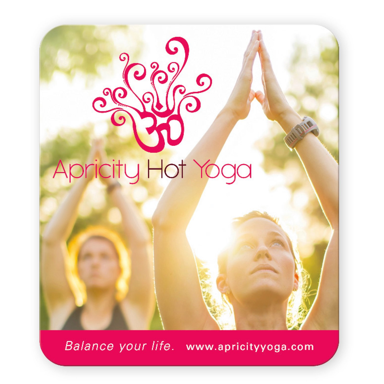 Good Value™ 30 Mil Large Stock Shape Magnet