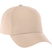 Unisex DOMINATE Ballcap 176