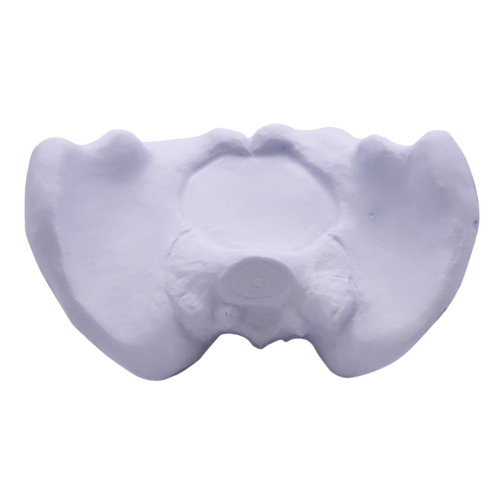 Hip Bone Stress Reliever 1